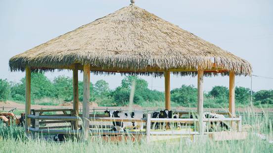 ΢��ͼƬ_20210428132936